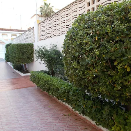 Bitacora Ii * Gandia